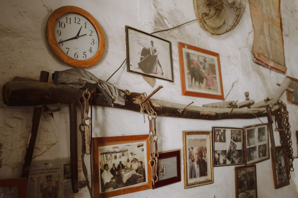 Boda-Doñana-Ardea-Purpurea (109)