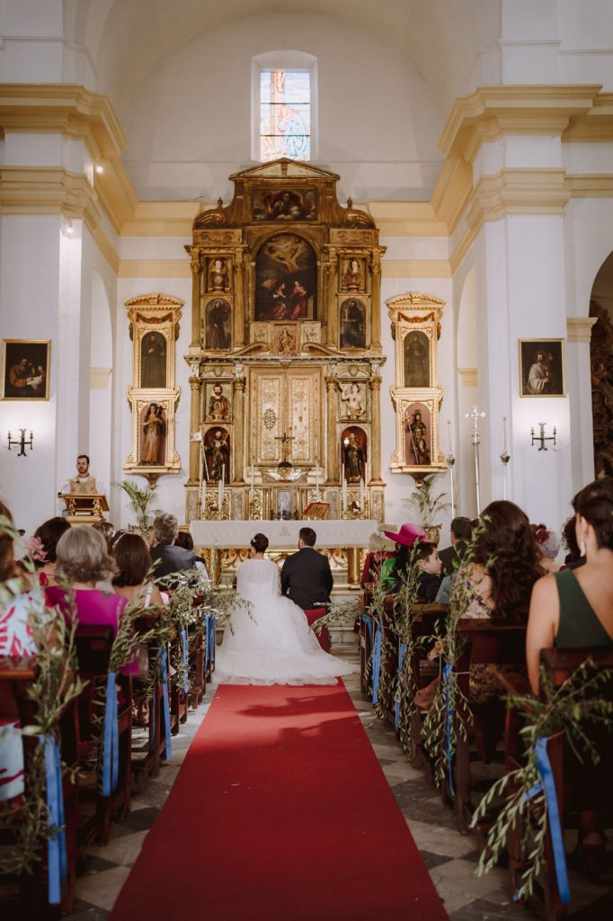 Boda-Doñana-Ardea-Purpurea (134)