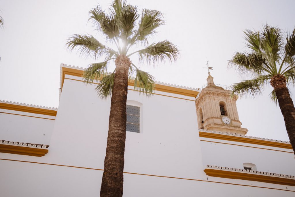 Boda-Doñana-Ardea-Purpurea (146)