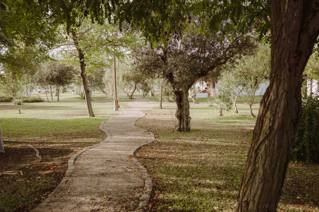 Boda-Doñana-Ardea-Purpurea (180)