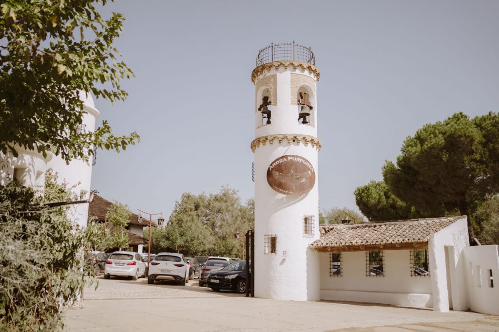 Boda-Doñana-Ardea-Purpurea (182)