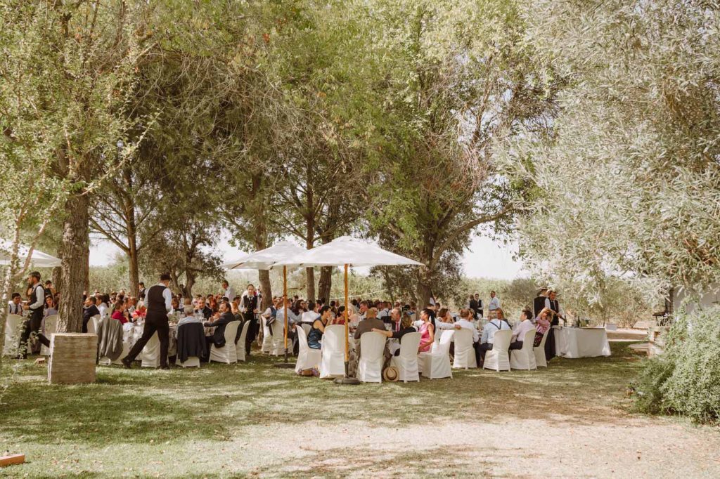 Boda-Doñana-Ardea-Purpurea (51)
