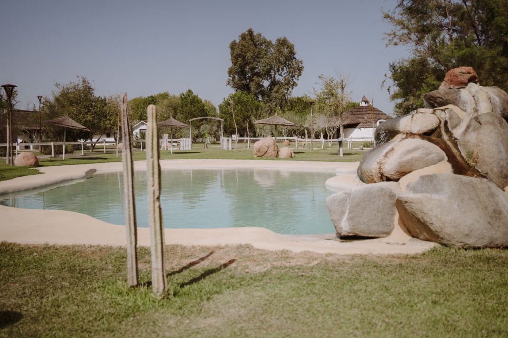 Boda-Doñana-Ardea-Purpurea (81)