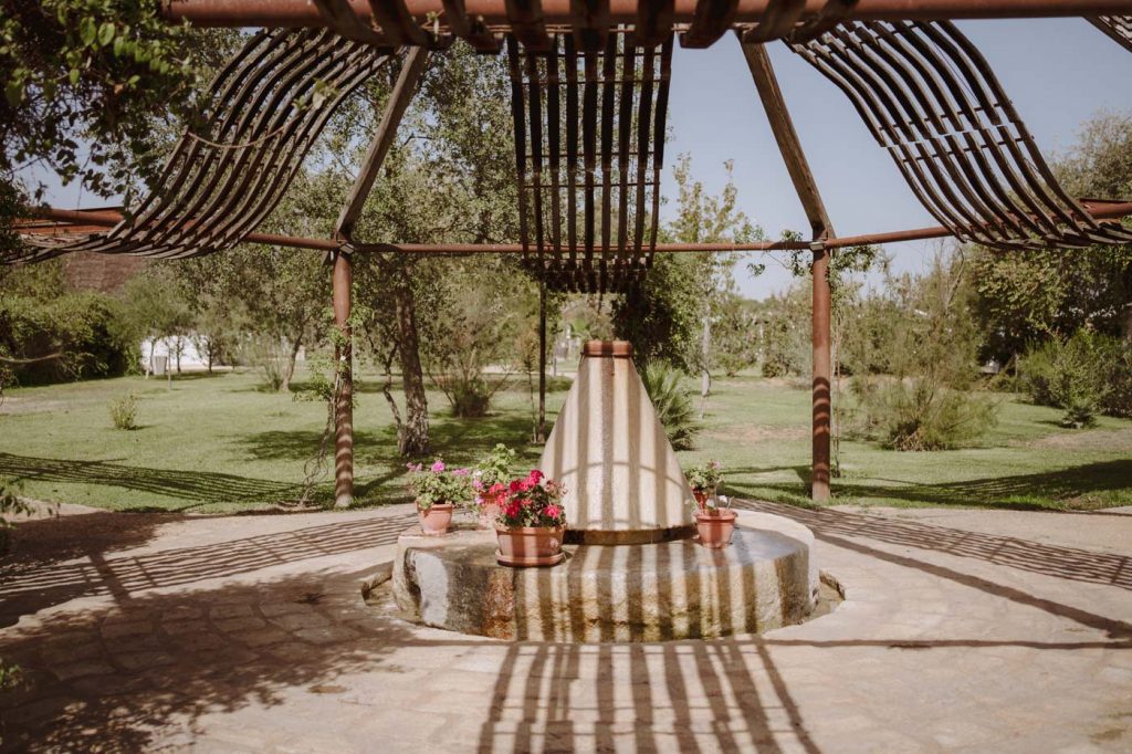 Boda-Doñana-Ardea-Purpurea (91)