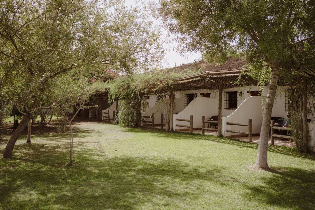 Boda-Doñana-Ardea-Purpurea (92)