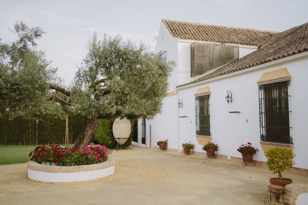 Boda-hacienda-la-bodeguilla (128)